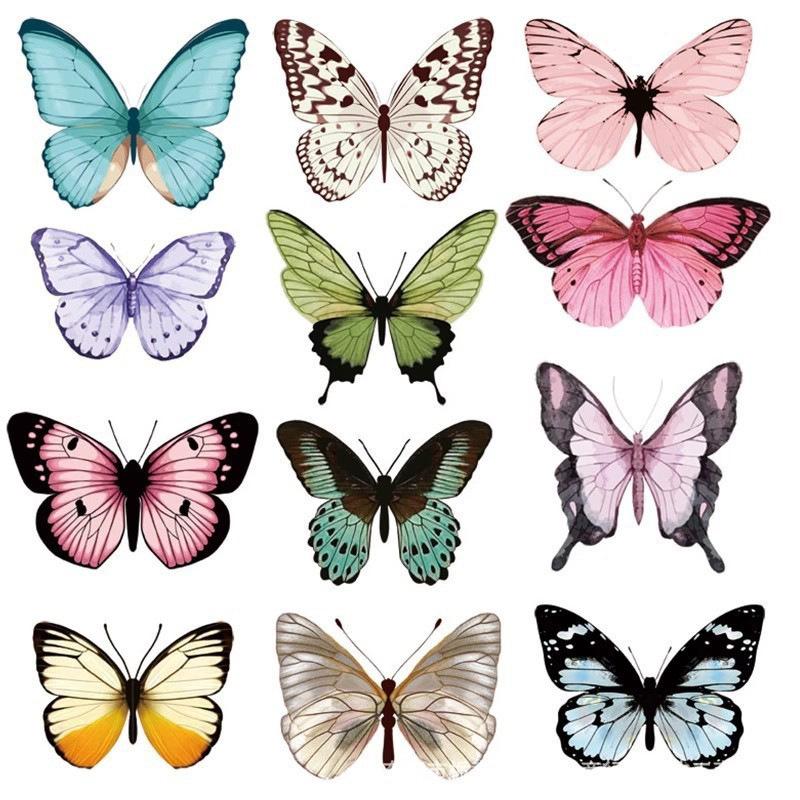 12pcs 3D Butterfly Wall Sticke - Art Craft Halloween review and price